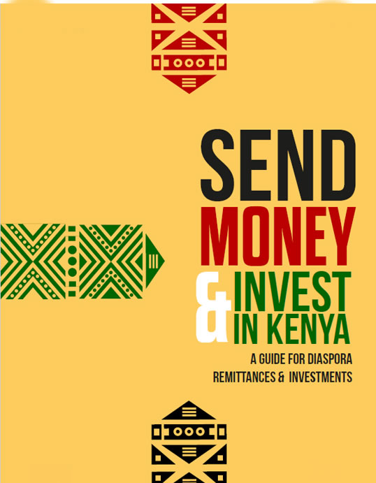 Diaspora Investment Consulting